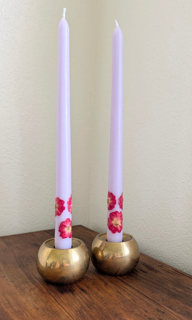 Brass Candlestick Holders (pair)
