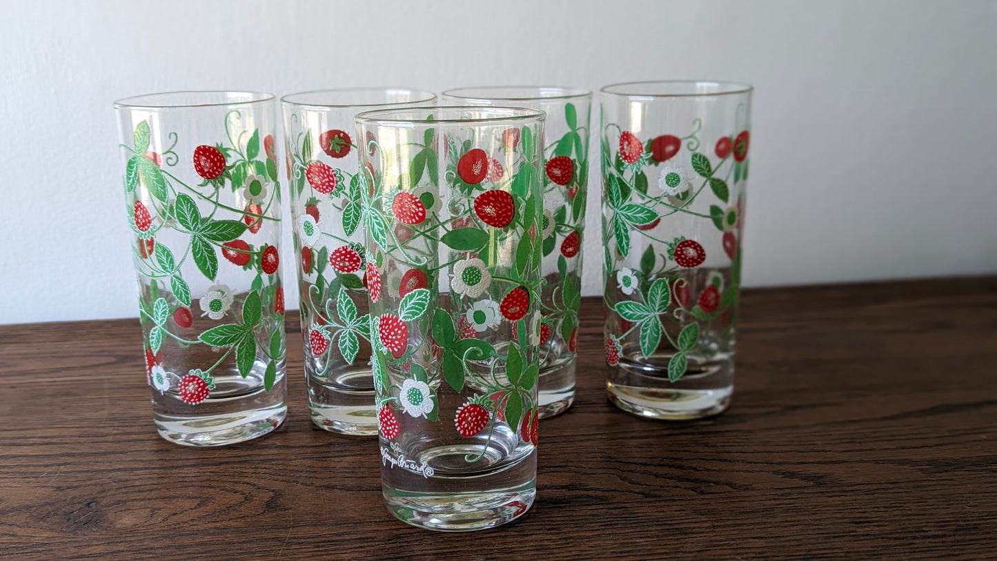 Georges Briard Strawberry Blossom Tumblers (set of 5)