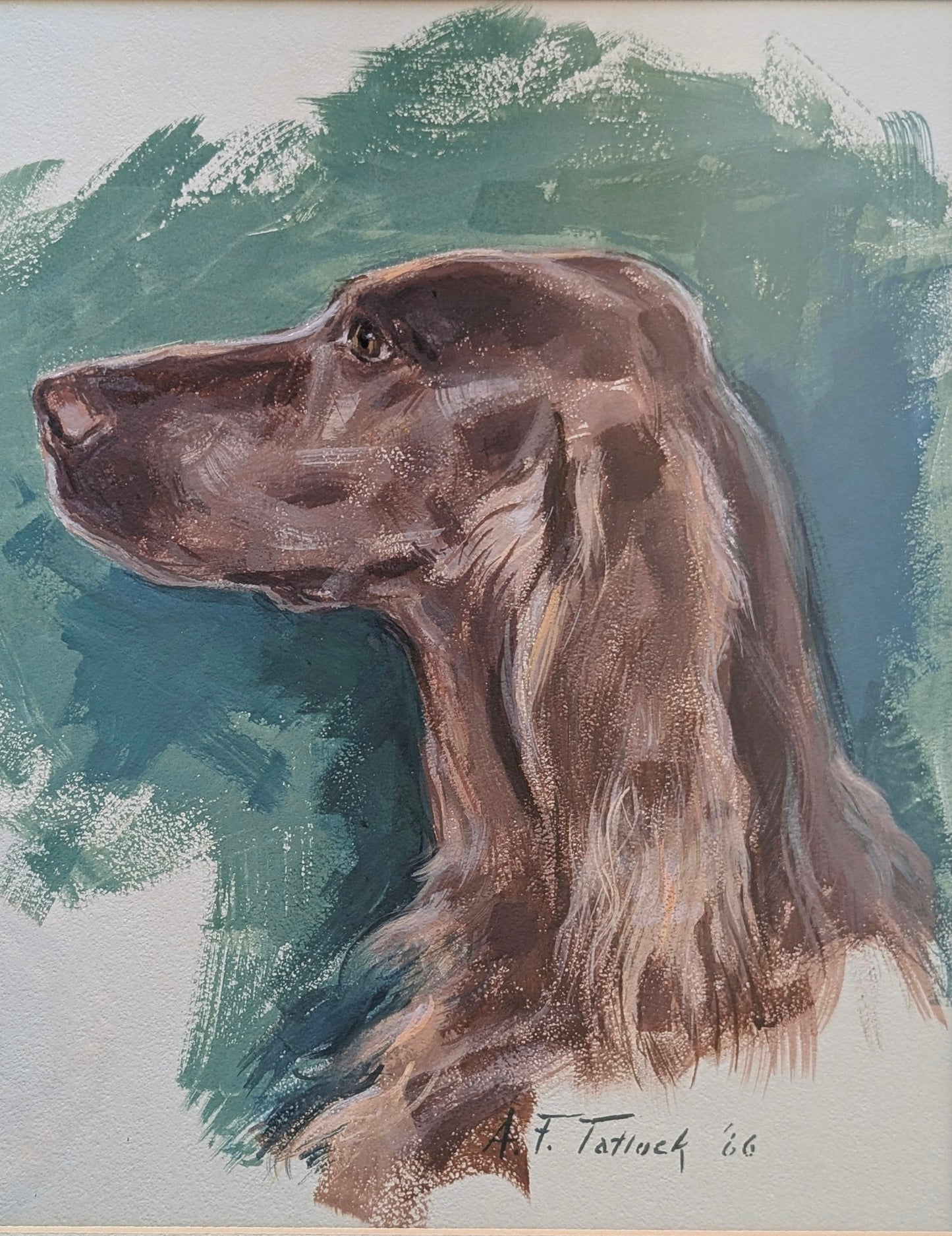 Irish Setter Painting by A.F. Tatlock 1966