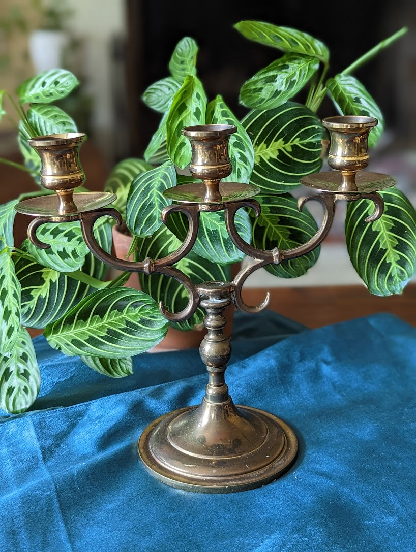 Brass Candelabra