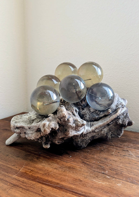 Lucite Grape Cluster on Driftwood